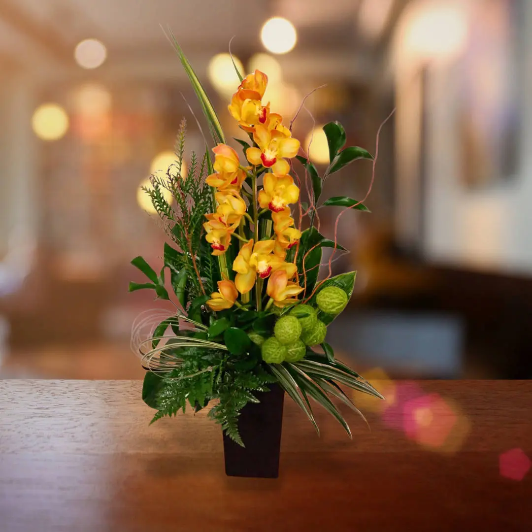 Orquídea Cymbidium Personnel