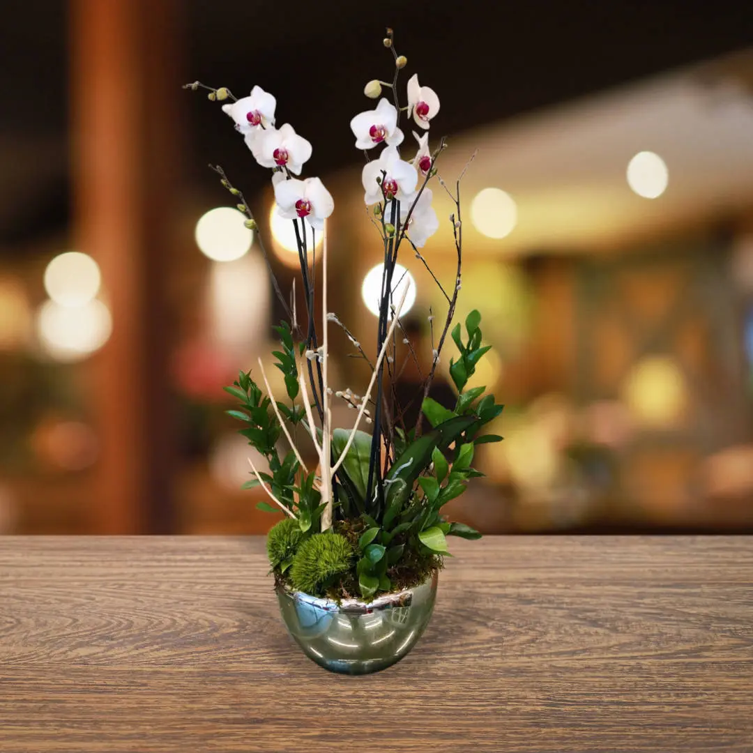 Orquídeas Personnel