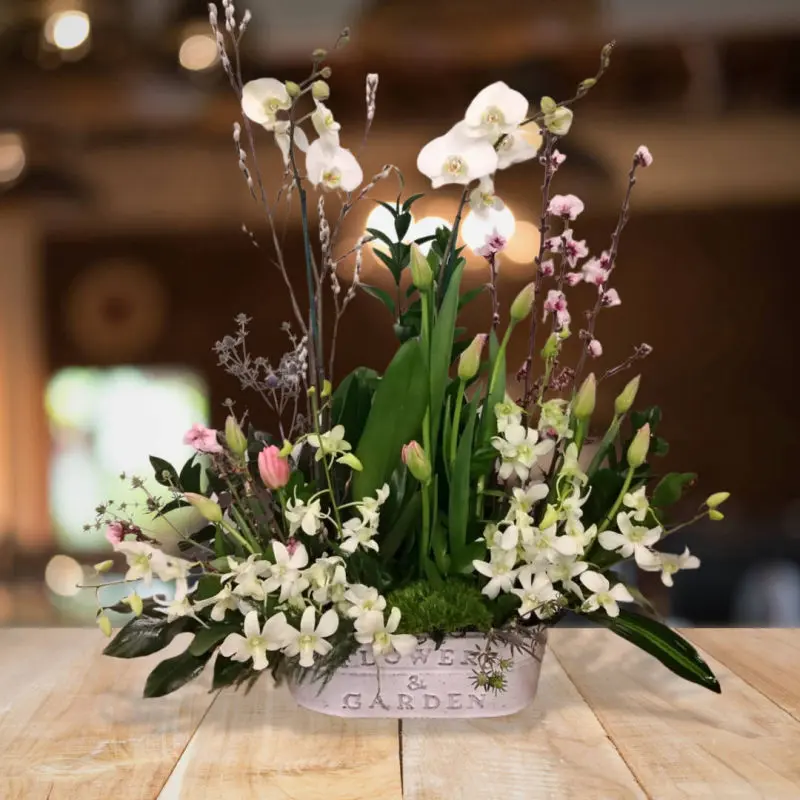 Arreglo floral primaveral, orquídea y tulipanes